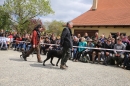 Jagdhundetag-2017-04-23-Dornsberg-Bodensee_Community-seechat_DE-IMG_0526.JPG