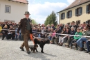 Jagdhundetag-2017-04-23-Dornsberg-Bodensee_Community-seechat_DE-IMG_0536.JPG
