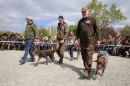 Jagdhundetag-2017-04-23-Dornsberg-Bodensee_Community-seechat_DE-IMG_0539.JPG