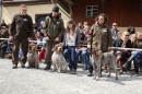 Jagdhundetag-2017-04-23-Dornsberg-Bodensee_Community-seechat_DE-IMG_0542.JPG