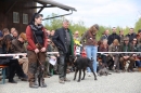Jagdhundetag-2017-04-23-Dornsberg-Bodensee_Community-seechat_DE-IMG_0548.JPG