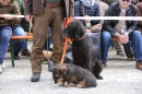 Jagdhundetag-2017-04-23-Dornsberg-Bodensee_Community-seechat_DE-IMG_0552.JPG