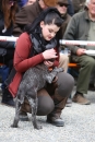 Jagdhundetag-2017-04-23-Dornsberg-Bodensee_Community-seechat_DE-IMG_0557.JPG