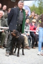 Jagdhundetag-2017-04-23-Dornsberg-Bodensee_Community-seechat_DE-IMG_0558.JPG