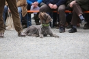 Jagdhundetag-2017-04-23-Dornsberg-Bodensee_Community-seechat_DE-IMG_0564.JPG