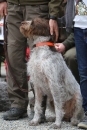 Jagdhundetag-2017-04-23-Dornsberg-Bodensee_Community-seechat_DE-IMG_0586.JPG