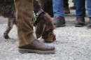 Jagdhundetag-2017-04-23-Dornsberg-Bodensee_Community-seechat_DE-IMG_0620.JPG