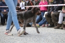 Jagdhundetag-2017-04-23-Dornsberg-Bodensee_Community-seechat_DE-IMG_0622.JPG