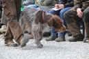 Jagdhundetag-2017-04-23-Dornsberg-Bodensee_Community-seechat_DE-IMG_0628.JPG