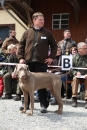 Jagdhundetag-2017-04-23-Dornsberg-Bodensee_Community-seechat_DE-IMG_0635.JPG