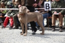 Jagdhundetag-2017-04-23-Dornsberg-Bodensee_Community-seechat_DE-IMG_0636.JPG