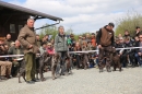 Jagdhundetag-2017-04-23-Dornsberg-Bodensee_Community-seechat_DE-IMG_0638.JPG