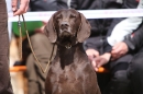 Jagdhundetag-2017-04-23-Dornsberg-Bodensee_Community-seechat_DE-IMG_0642.JPG