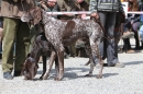 Jagdhundetag-2017-04-23-Dornsberg-Bodensee_Community-seechat_DE-IMG_0662.JPG