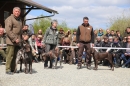 Jagdhundetag-2017-04-23-Dornsberg-Bodensee_Community-seechat_DE-IMG_0664.JPG