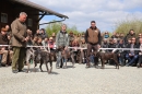 Jagdhundetag-2017-04-23-Dornsberg-Bodensee_Community-seechat_DE-IMG_0666.JPG