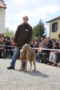 Jagdhundetag-2017-04-23-Dornsberg-Bodensee_Community-seechat_DE-IMG_0672.JPG