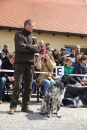 Jagdhundetag-2017-04-23-Dornsberg-Bodensee_Community-seechat_DE-IMG_0677.JPG