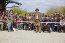 Jagdhundetag-2017-04-23-Dornsberg-Bodensee_Community-seechat_DE-IMG_0683.JPG