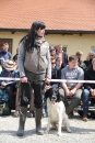 Jagdhundetag-2017-04-23-Dornsberg-Bodensee_Community-seechat_DE-IMG_0687.JPG