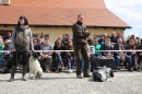 Jagdhundetag-2017-04-23-Dornsberg-Bodensee_Community-seechat_DE-IMG_0691.JPG