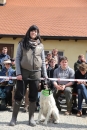 Jagdhundetag-2017-04-23-Dornsberg-Bodensee_Community-seechat_DE-IMG_0692.JPG