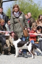 Jagdhundetag-2017-04-23-Dornsberg-Bodensee_Community-seechat_DE-IMG_0709.JPG