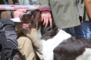 Jagdhundetag-2017-04-23-Dornsberg-Bodensee_Community-seechat_DE-IMG_0710.JPG