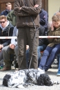 Jagdhundetag-2017-04-23-Dornsberg-Bodensee_Community-seechat_DE-IMG_0724.JPG