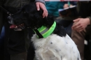 Jagdhundetag-2017-04-23-Dornsberg-Bodensee_Community-seechat_DE-IMG_0728.JPG