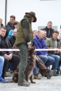 Jagdhundetag-2017-04-23-Dornsberg-Bodensee_Community-seechat_DE-IMG_0733.JPG