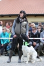 Jagdhundetag-2017-04-23-Dornsberg-Bodensee_Community-seechat_DE-IMG_0745.JPG
