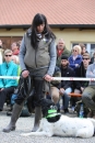 Jagdhundetag-2017-04-23-Dornsberg-Bodensee_Community-seechat_DE-IMG_0752.JPG
