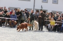 Jagdhundetag-2017-04-23-Dornsberg-Bodensee_Community-seechat_DE-IMG_0756.JPG
