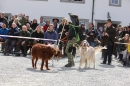 Jagdhundetag-2017-04-23-Dornsberg-Bodensee_Community-seechat_DE-IMG_0757.JPG