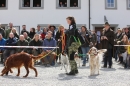 Jagdhundetag-2017-04-23-Dornsberg-Bodensee_Community-seechat_DE-IMG_0758.JPG