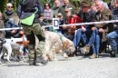 Jagdhundetag-2017-04-23-Dornsberg-Bodensee_Community-seechat_DE-IMG_0761.JPG