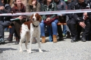Jagdhundetag-2017-04-23-Dornsberg-Bodensee_Community-seechat_DE-IMG_0762.JPG