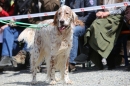 Jagdhundetag-2017-04-23-Dornsberg-Bodensee_Community-seechat_DE-IMG_0772.JPG