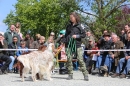 Jagdhundetag-2017-04-23-Dornsberg-Bodensee_Community-seechat_DE-IMG_0777.JPG