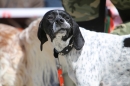 Jagdhundetag-2017-04-23-Dornsberg-Bodensee_Community-seechat_DE-IMG_0778.JPG