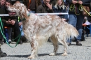 Jagdhundetag-2017-04-23-Dornsberg-Bodensee_Community-seechat_DE-IMG_0804.JPG