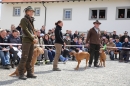 Jagdhundetag-2017-04-23-Dornsberg-Bodensee_Community-seechat_DE-IMG_0812.JPG