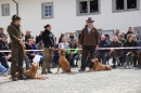 Jagdhundetag-2017-04-23-Dornsberg-Bodensee_Community-seechat_DE-IMG_0816.JPG
