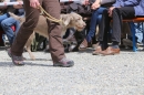 Jagdhundetag-2017-04-23-Dornsberg-Bodensee_Community-seechat_DE-IMG_0852.JPG