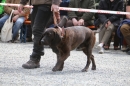 Jagdhundetag-2017-04-23-Dornsberg-Bodensee_Community-seechat_DE-IMG_0862.JPG