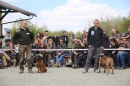 Jagdhundetag-2017-04-23-Dornsberg-Bodensee_Community-seechat_DE-IMG_0890.JPG