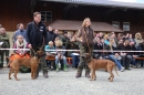 Jagdhundetag-2017-04-23-Dornsberg-Bodensee_Community-seechat_DE-IMG_0891.JPG