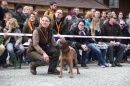 Jagdhundetag-2017-04-23-Dornsberg-Bodensee_Community-seechat_DE-IMG_0896.JPG