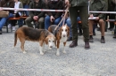 Jagdhundetag-2017-04-23-Dornsberg-Bodensee_Community-seechat_DE-IMG_0904.JPG